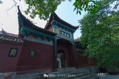 瑞云禅寺：崭新起的希望