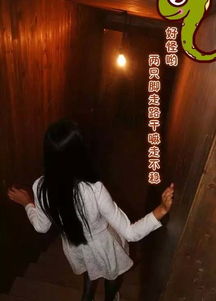 神秘的身影与异象降临