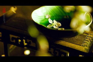 童子命到底是什么鬼？吓得我鸡皮疙瘩都起来了