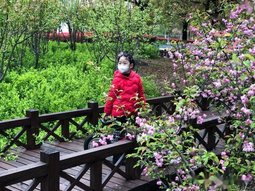 植物园：拥抱春天的气息