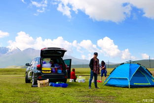 住宿体验：与昆虫亲密接触