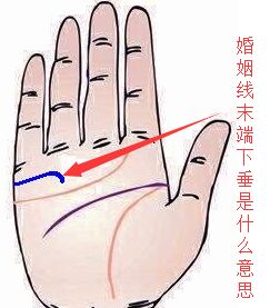 一、手相学与十二生肖的奇妙共振
