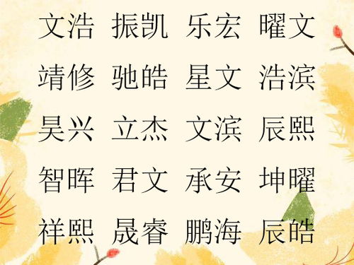 寻觅心之所向：精选男孩名字， 传承美好寓意