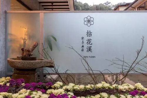 值得！绝对值得！