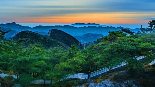 一、 初探蒙山，夏日奇观的诱惑（以及我被蚊子咬得惨不忍睹的预兆）