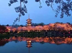 太白湖免费游？呵呵，坑你没商量！