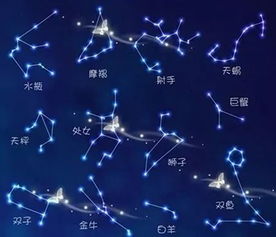 属鸡双鱼座2026年农历六月运势和属鸡水瓶座每月运势具体内容是什么？