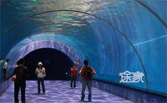 你问我有没有海底隧道？