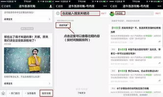 行程安排要像乌龟一样慢！