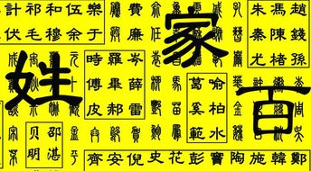 金水木火土全套齐活