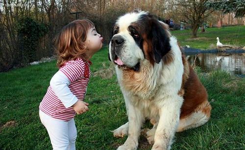 第一章：夜深厚人静