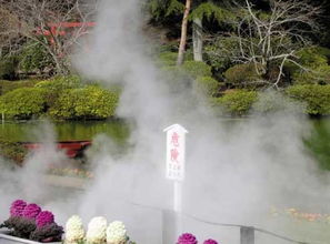 震惊！中山温泉竟然藏着这些不可告人的秘密？！