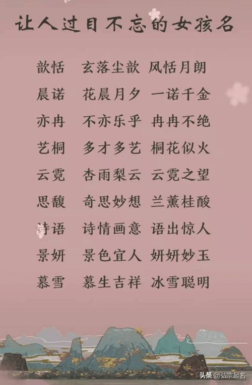 四、 具体案例解析与提议（带情感色彩）