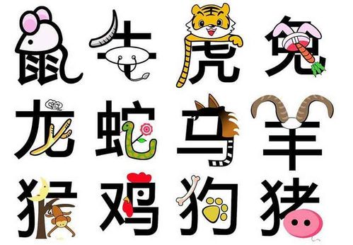生肖兔：可靠感的寻找