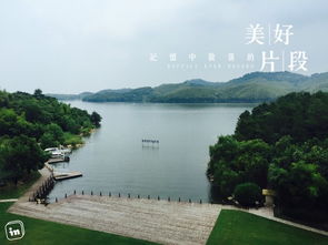 3. 天目湖野生动物世界：萌宠较大集合