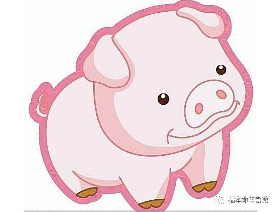 2026年属猪的人运势如何，这一年属猪的整体运势都好吗？