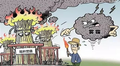 院内烧杂物,在院子里烧东西犯法吗
