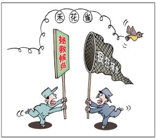 慈悲与科学的交融：放生的新境界