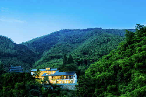 莫干山民宿发展简史（我瞎编的）
