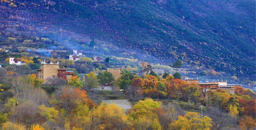 a) 阳坝天然风景区