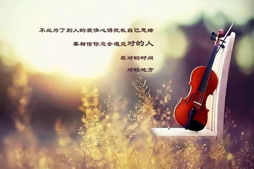不是完整的真实相