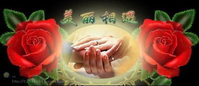 两个急性子的爱情马拉松