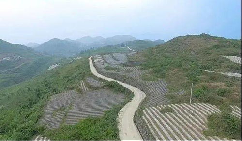 第二章：沿河漫步——感受天然与城区交织
