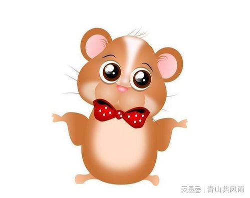 属鼠人2023年每月运势详解