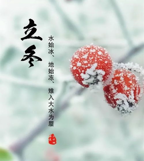 立冬风俗，二十四节气冬季序曲，爆款来袭！