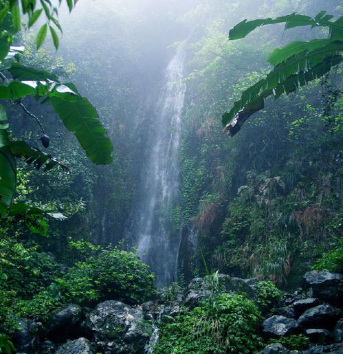 凌晨5点的云海冲浪？爽翻！