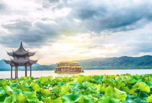 邂逅晨曦的西湖，一场诗意盎然的旅程