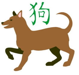 2026年生肖狗22日运势如何，各时辰吉凶如何查询？