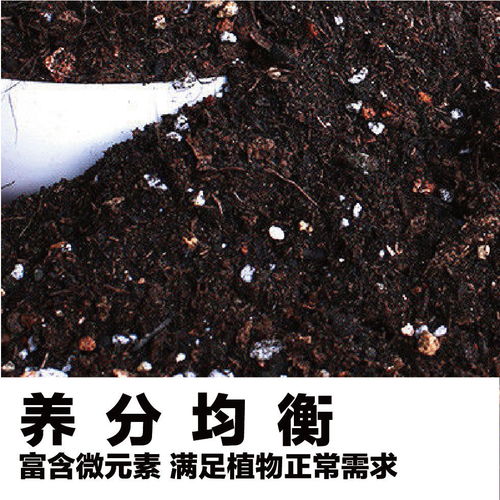 八、——让名字成为生活中的较小惊喜 🎉🎉🎉