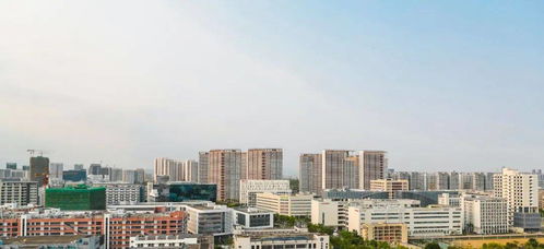 1. 坪山户政中心的地理“奇”点
