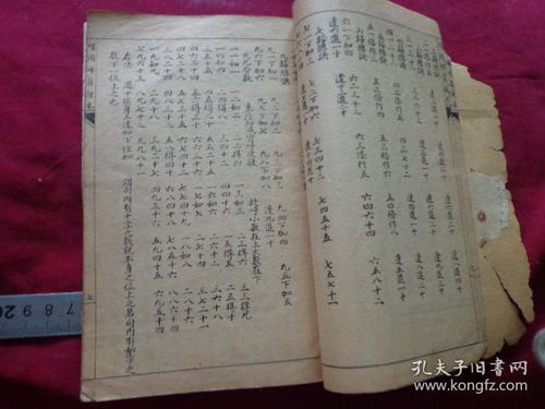 戚姓最完整的家谱中，有哪些分支和世系可以详细查询？