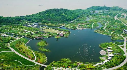 2026年黄历预警：去半山公园要挑日子！