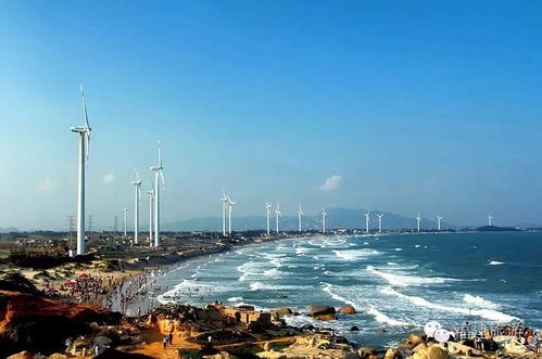 4. 翡翠湾旅行度虚假中心？ 度虚假也得闹心