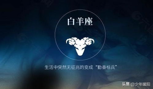 他们吵架的样子能笑死人