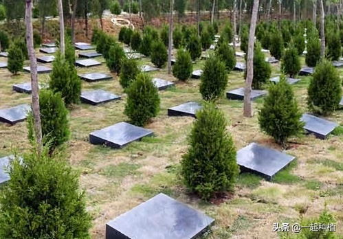 噪音区块 ★★☆★☆★☆★☆★☆★☆★☆★☆★☆☆★★★★★★★★★★☆☆☆☆☆☆☆☆☆☆☆☆※※※※※※※※※※※※※※※✿✿✿✿✿✿✿✿✿✿✿✿☯☯☯☯☯☯☯☯☯♞♞♞♞♞♞♞♞♞♥♥♥♥♥♥♥♥♥♥♥♡♡♡♡♡♡♡♡❤❤❤❤❤❤❤❀❀❀❀❀❀❀❀❁❁❁❁❁💧💧💧💧💧💧💧💦💦💦💦⚽⚽⚽⚽⚽⚽⚽⚾⚾⚾🌀🌀🌀🌀🌀🌀🌀🌀📢📢📢📢🔔🔔🔔🔔🐉🐉🐉🐉🐍🐍🐍🐍🌲🌲🌲🌲🌱🌱🌱🌱🍃🍃🍃🍃🍂🍂🍂🍂🥀🥀🥀🥀⛅⛅⛅⛅⛈⛈⛈⛈🚪🚪🚪🚪🏠🏠🏠🏠🏡🏡🏡🏡🤹🤹🤹🤹🎭🎭🎭🎭👻👻👻👻🙈🙈🙈🙈😜😜😜😜😂😂😂😂🤣🤣🤣🤣👍👍👍👍👎👎👎👎🤔🤔🤔🤔🙄🙄🙄🙄📚📚📚📚📖📖📖📖🔥🔥🔥🔥⭐️⭐️⭐️⭐️✨✨✨✨💕💕💕💕❤️❤️❤️❤️😭😭😭😭😱😱😱😱🚨🚨🚨🚨✅✅✅✅❌❌❌❌⬆⬆⬆⬆⬇⬇⬇⬇↗↘↙↖←→↑↓⇧⇩⌛⌚⏰🕰️🗓️🗒️🔍🔎🔬🔭🛰️🚀🚁🛸🚤⛴️⛵️🏝️🏖️🏜️🏕️🌋🌐🌍🌎🌏🇨🇳🇺🇸🇬🇧🇫🇷🇩🇪🇯🇵…（以上为随机噪音， 仅供阅读时打发时间）