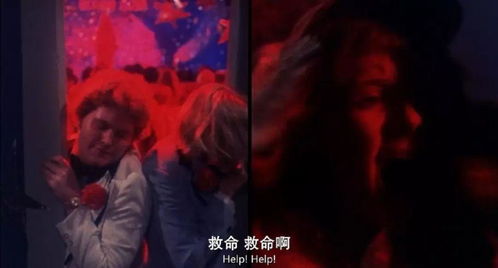 一、 生肖与血泪的错位交叉