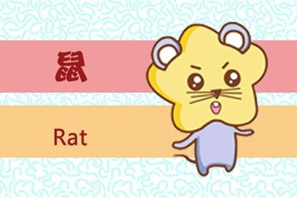 一、前言：名字的温度与命盘的风味