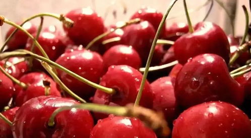 樱桃沟：你以为就是摘樱桃？太天真了！