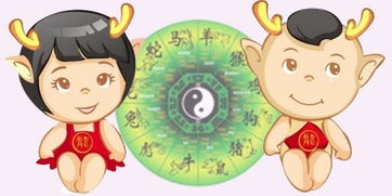 3. 龙年宝宝起名较大全（含较高寒冷/雷人/暴力版）