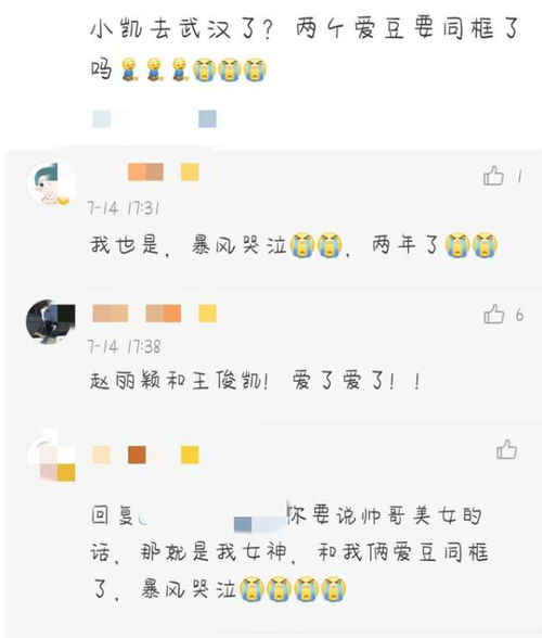 我的个人建议（非常主观！）