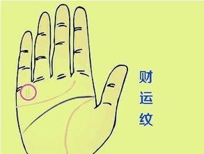 科学研究 vs. 神秘：谁才是真实正的解药？
