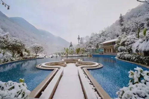 一、探寻齐河水上乐园的魅力