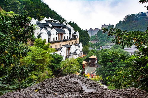 云南民族村：2026年春节前必看避坑指南（血泪版）