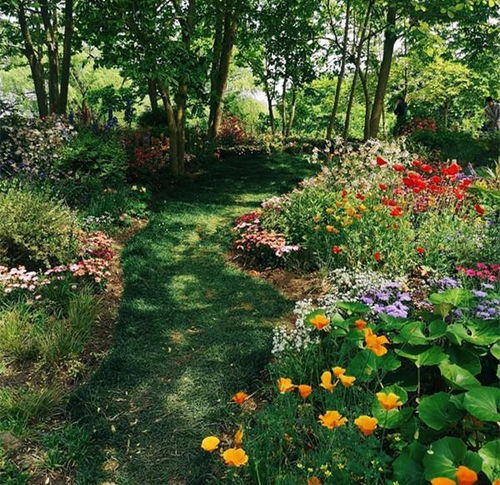 三林公园：一个被遗忘的角落？