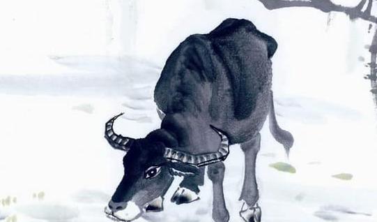 属马和属虎的八字相合吗？属马属虎的人住几楼最吉利？