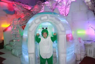 金牛座：艺术界的扫地僧